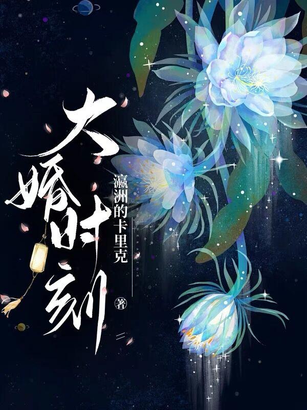 大婚当嫁电视剧
