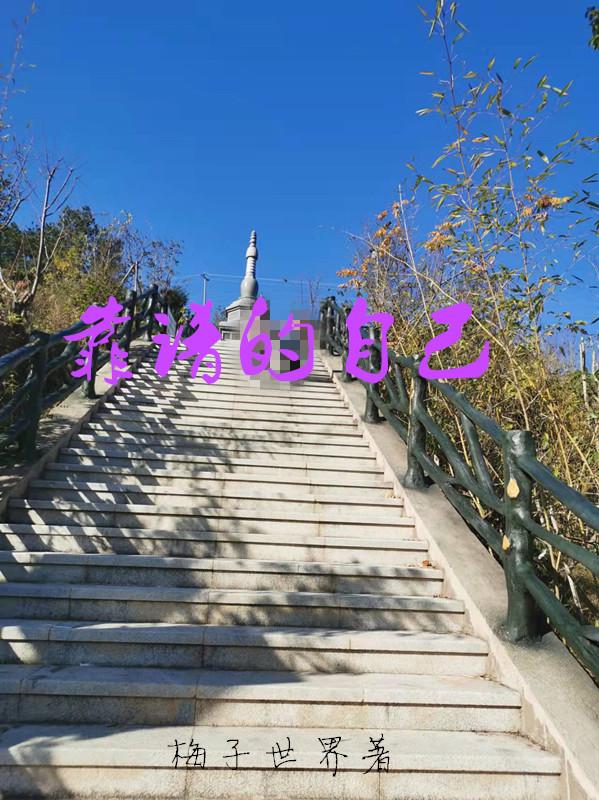 靠谱的自动焊接电路板