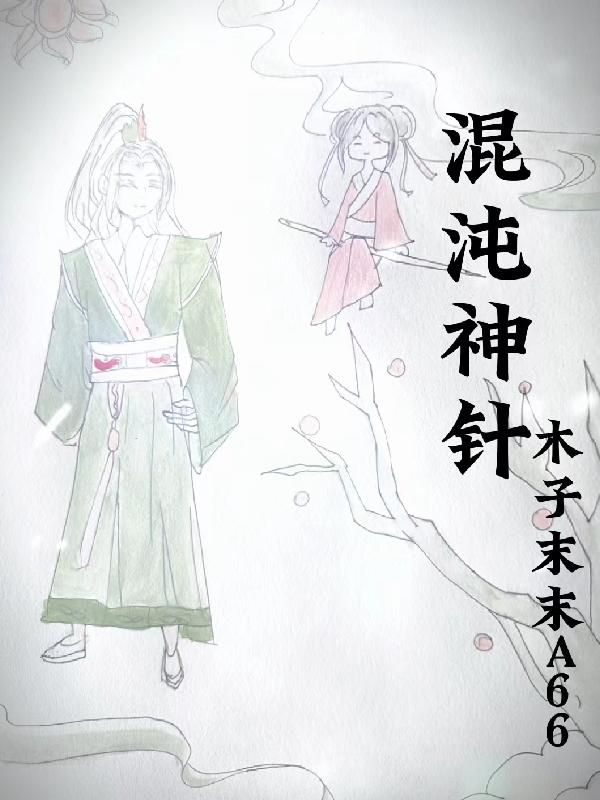 混沌神针小说