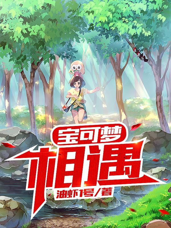 宝可梦相遇视频