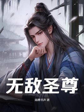 无敌圣师系统小说