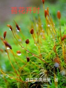 苔花如小米也学牡丹开意思