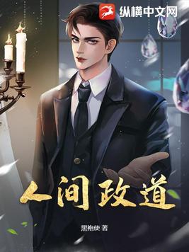人间政道作者岑寨散人