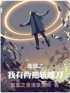 海贼王之二刀流系统小说