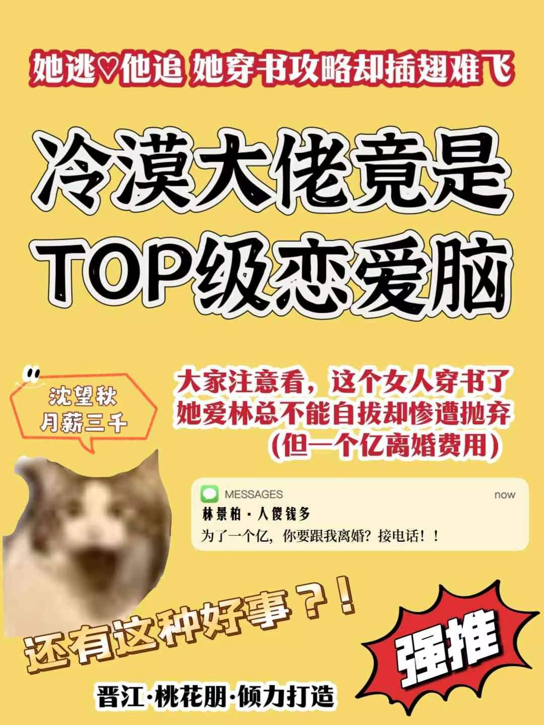 惊!冷漠大佬变top级恋爱脑后桃花朋百度网盘