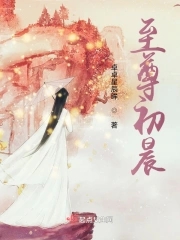 至尊神殿陆鸣全文免费